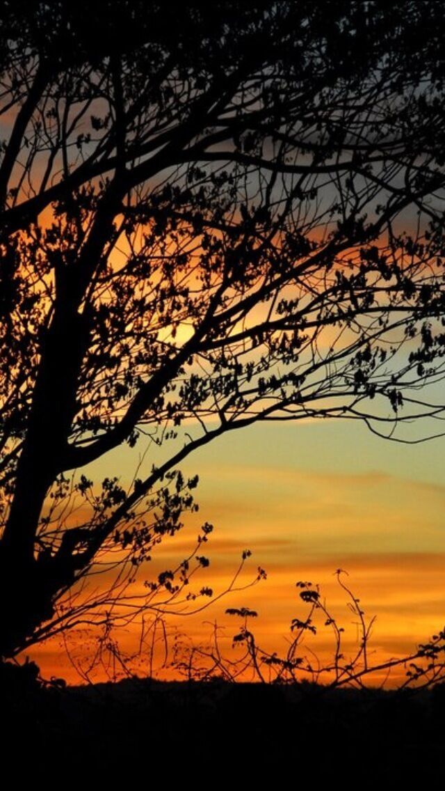 One of the colorful sunsets from my backyard.