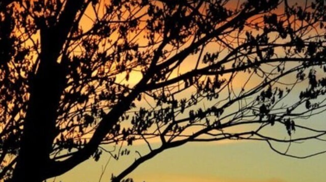 One of the colorful sunsets from my backyard.