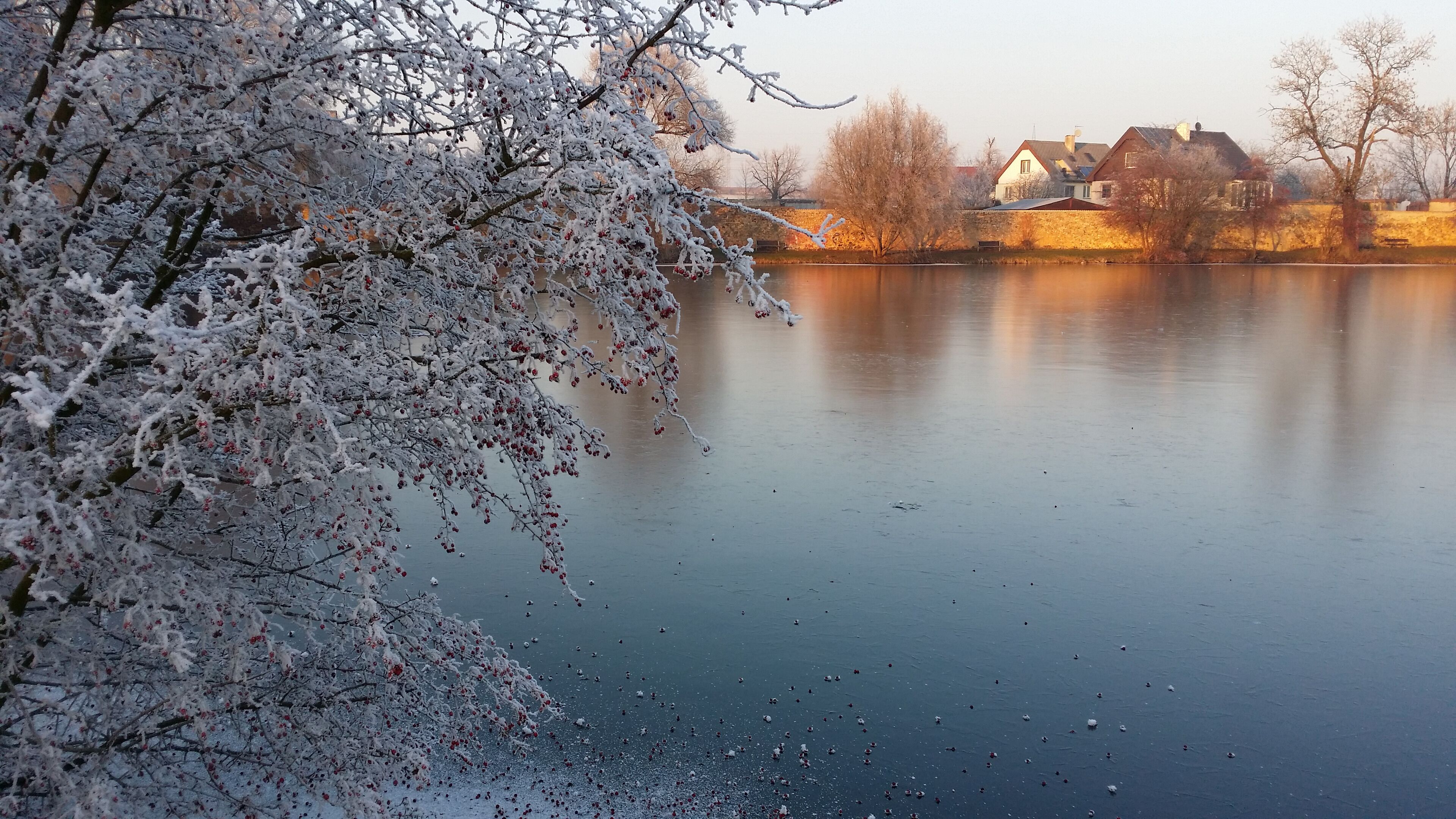 A frozen lake with snow-covered trees and houses in the background.
