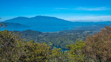 A mountainous landscape with a clear blue sky, a large body of water, and dense green foliage in the foreground.