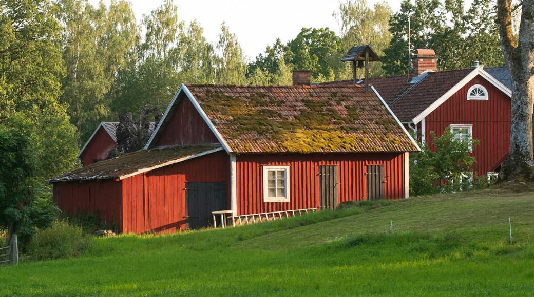tTaditionelle schwedische Holzhäuser in falunot.