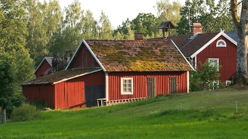 tTaditionelle schwedische Holzhäuser in falunot.