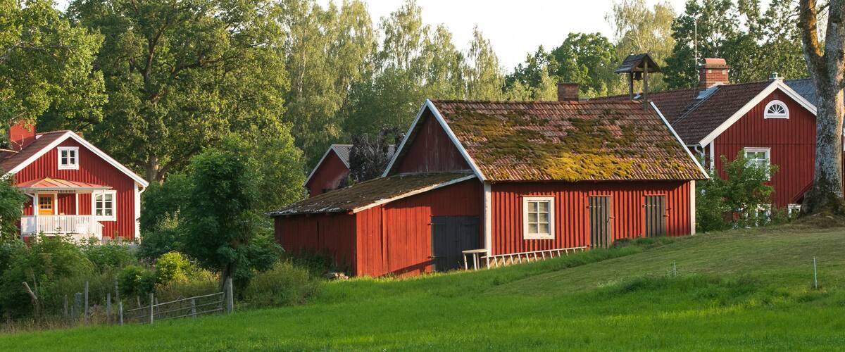 A red wooden house with a moss-covered roof, surrounded by lush green trees and grass.