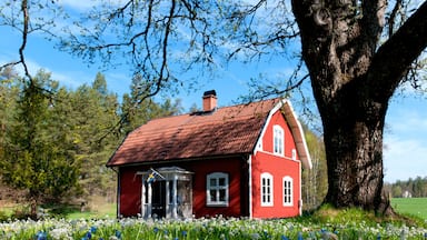 Uma casa vermelha com telhado de telhas, cercada por um campo de flores e uma grande árvore.