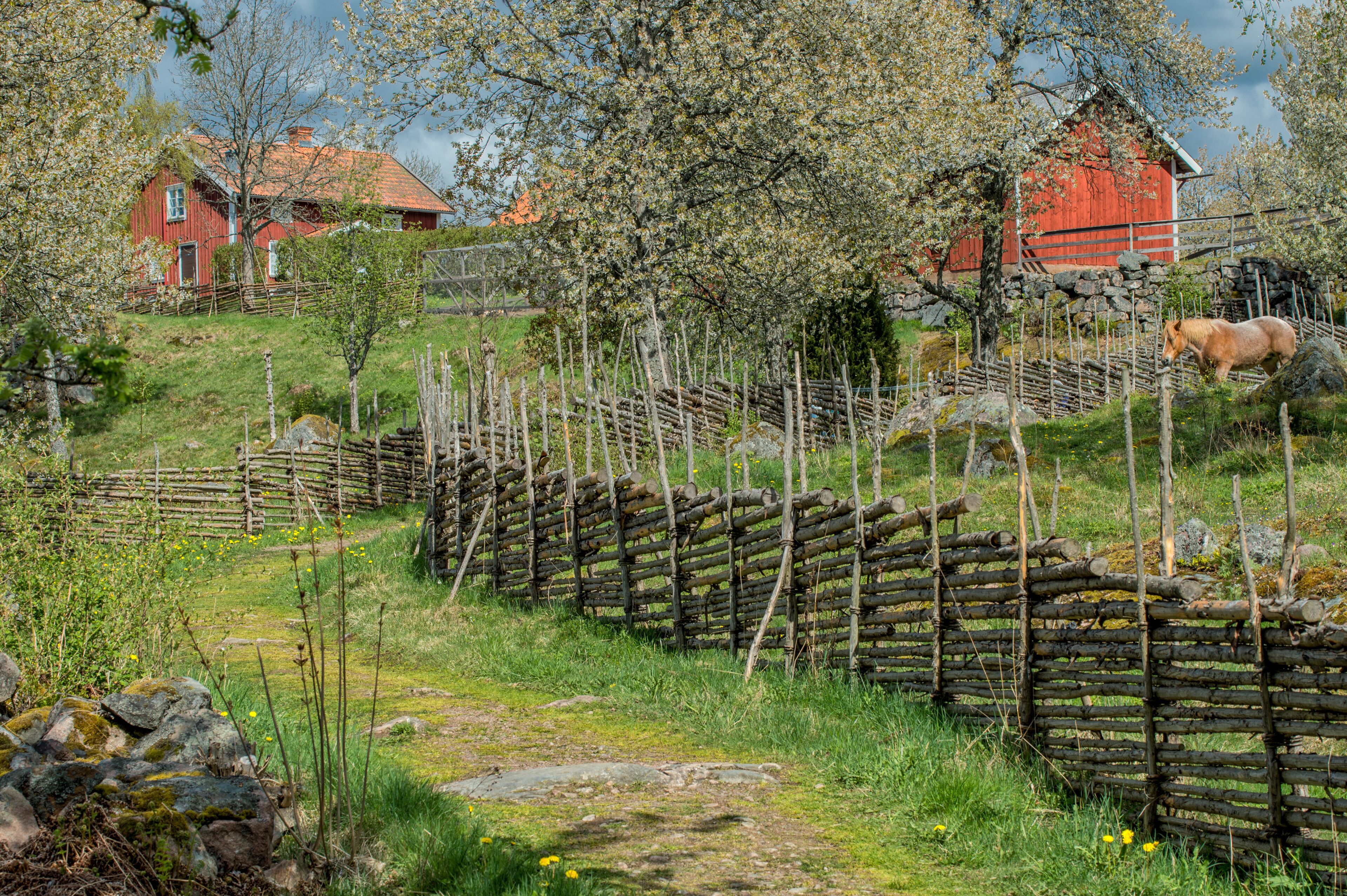 Idyllic Sweden at springtime - early May in Småland