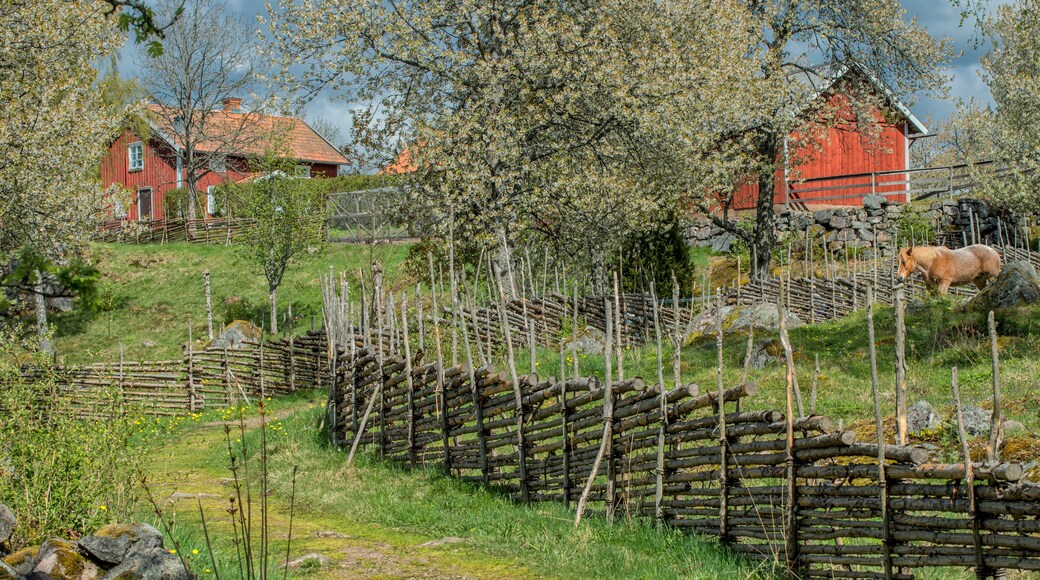 Idyllic Sweden at springtime - early May in Småland