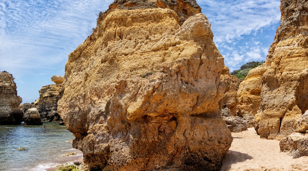 Branqueira