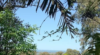 Great garden and fantastic view over the Gippsland Lakes