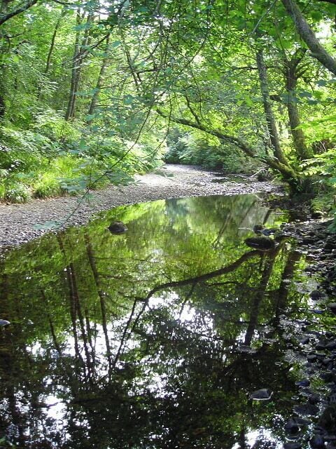 Abhainn Teithil at Sutherlands Grove