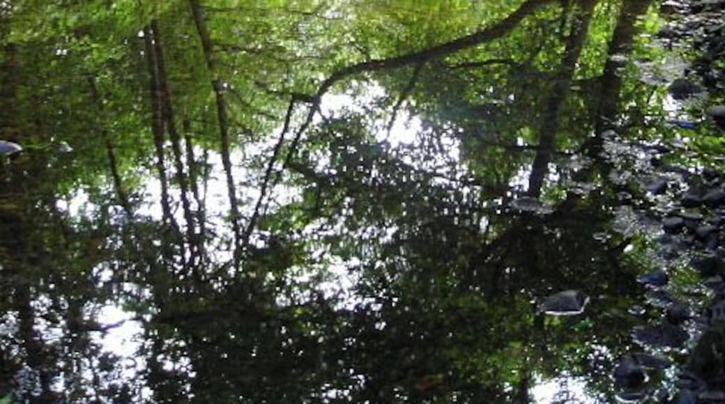 Abhainn Teithil at Sutherlands Grove