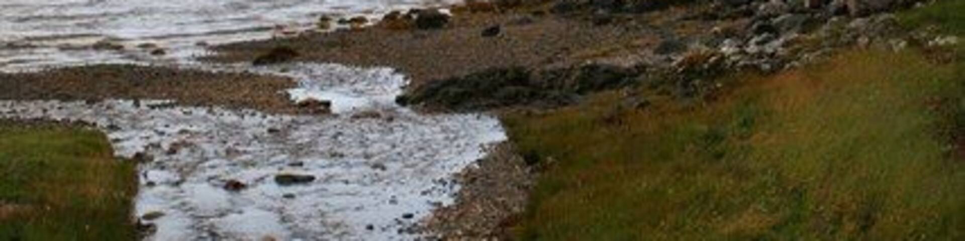 Rubha Teithill The outfall of the Teithill into Loch Creran at Rudha Teithill.
