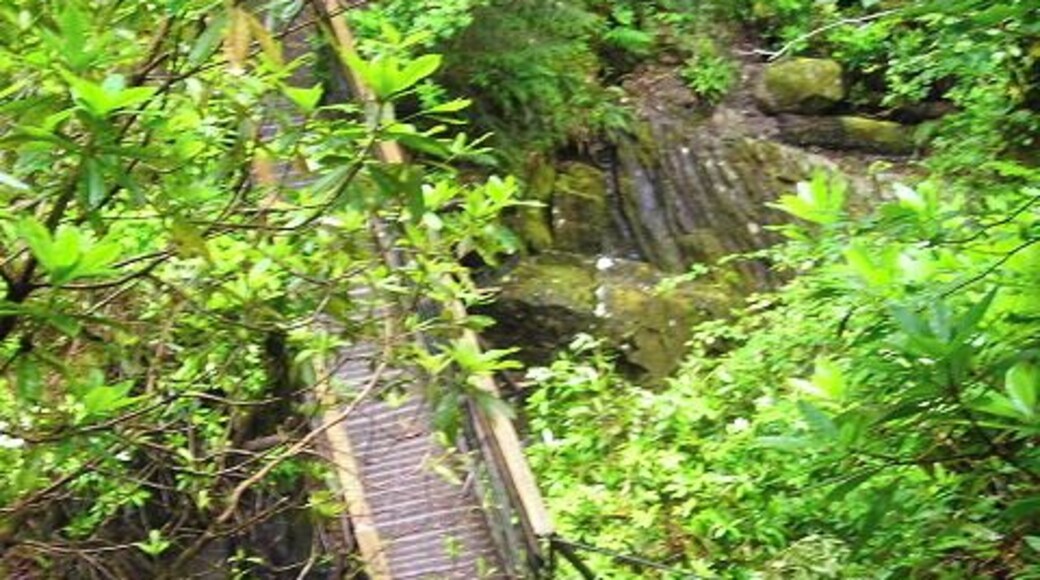 Footbridge Over Abhainn Teithil Gorge The footbridge over Abhainn Teithil gorge is situated at the bottom of steps cut out of the wall of the gorge