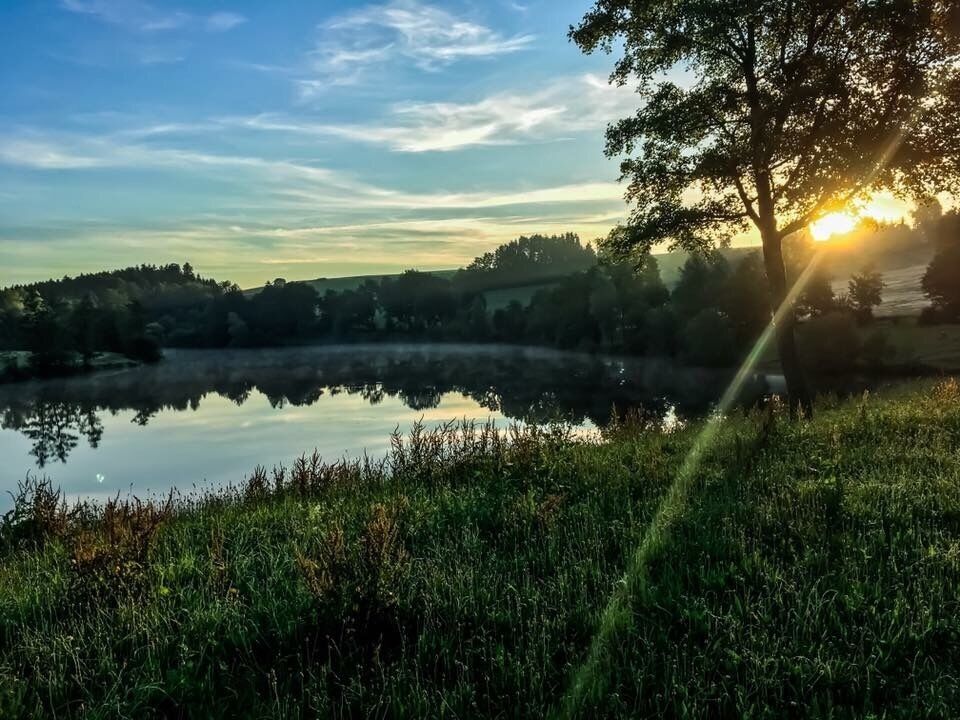 A serene lake with a tree casting a shadow, surrounded by grassy fields and hills under a clear sky.