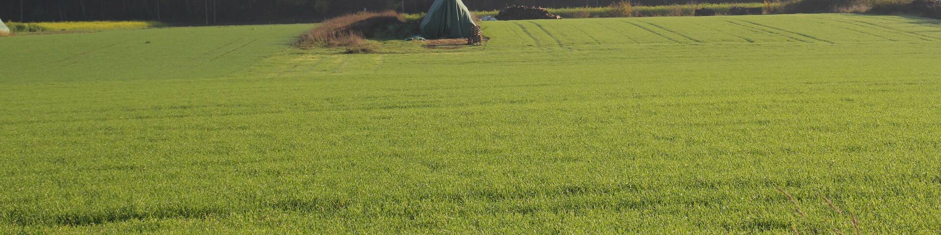 Kipp bei Großwelzheim. Es ist der ehemalige Abraum aus der zeche Gustav (heute Gustavsee)