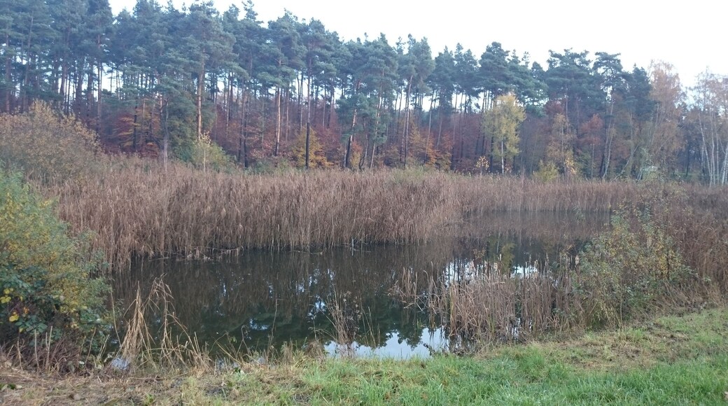 Der lange See bei Großwelzheim