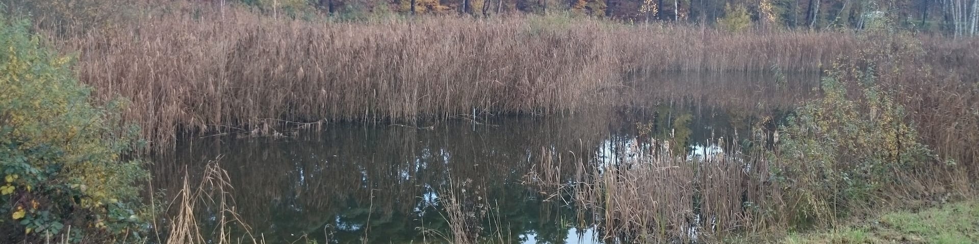 Der lange See bei Großwelzheim