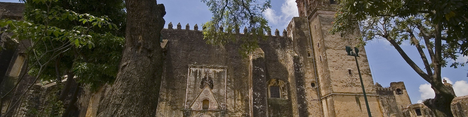 Un castillo de piedra antigua con un gran árbol en primer plano, cielo despejado y un camino pavimentado que lleva a la entrada.