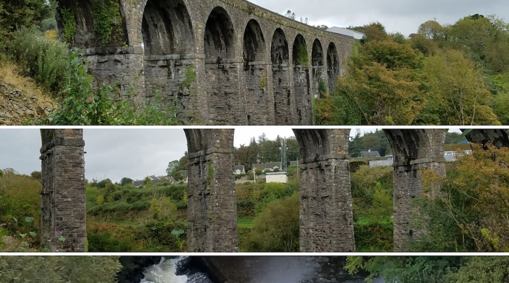 If you like green, then this place is a nice place to walk.