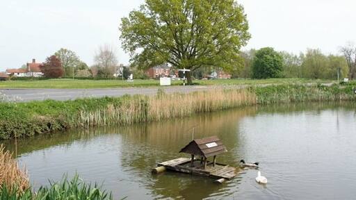 Village Pond and Green From outside The Gamekeeper looking SE over pond and green towards the Ox and Plough