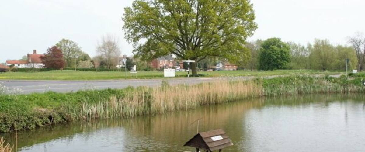 A calm pond with a wooden dock and a birdhouse, surrounded by greenery and a large tree.