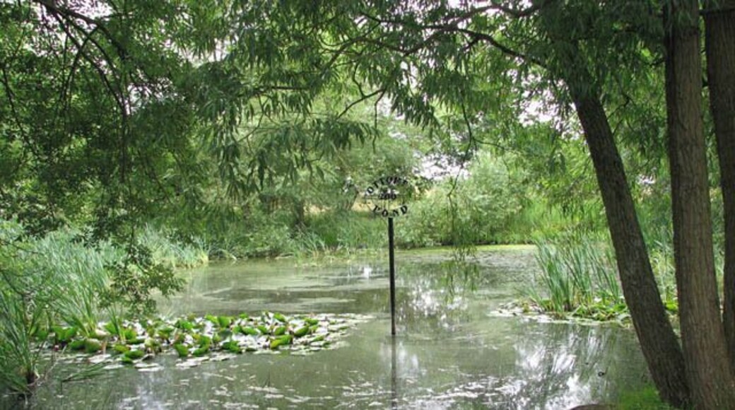 Ottomer Pond. The pond is located on the edge of the Church Green > 1394255.