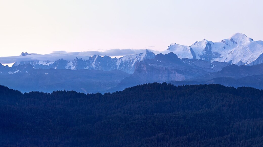 Panorama sur la chaine du Mont Blanc juste avant le lever du soleil un matin d'été depuis la station de ski française des Gets. Haute Savoie - France