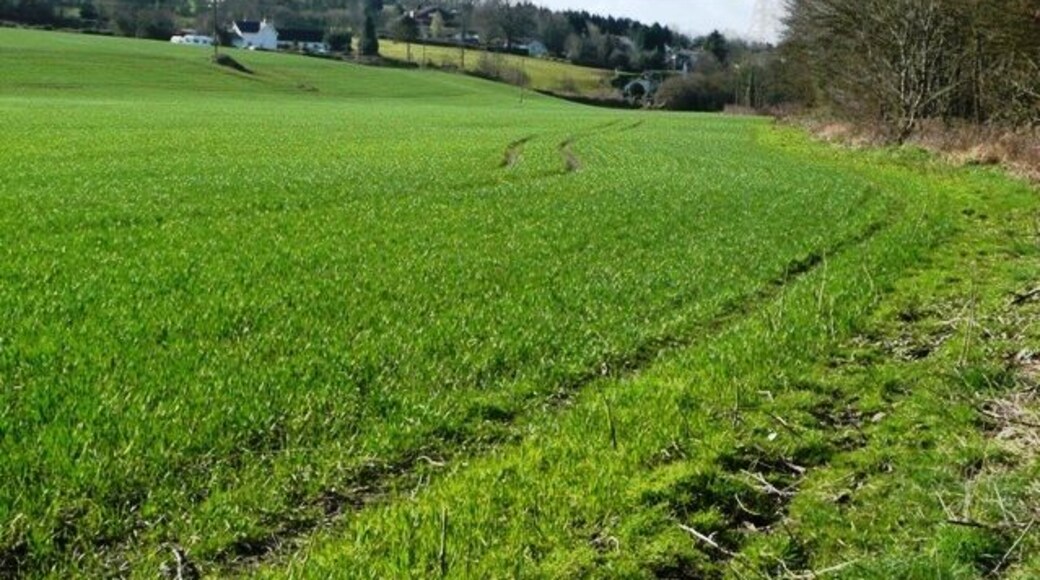 Footpath to Michaelstone This footpath crosses farmland with the river Rhymney to the right heading towards the hamlet of Michaelstone.