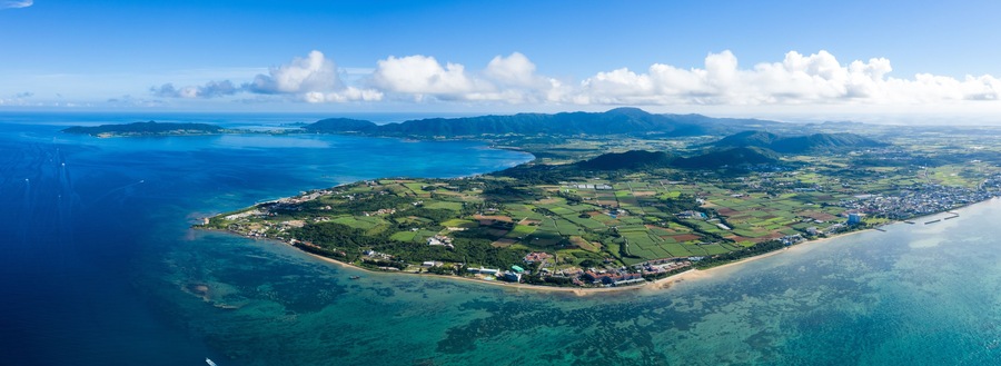 An aerial view of a coastal island with clear blue waters, green fields, and a small town.