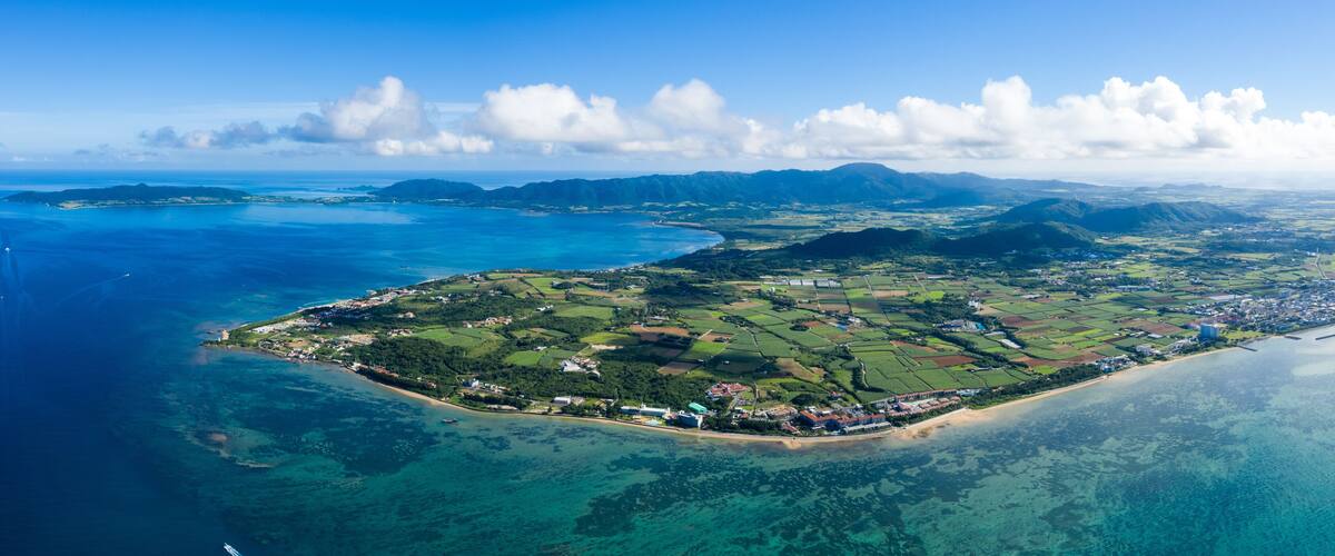 An aerial view of a coastal island with clear blue waters, green fields, and a small town.
