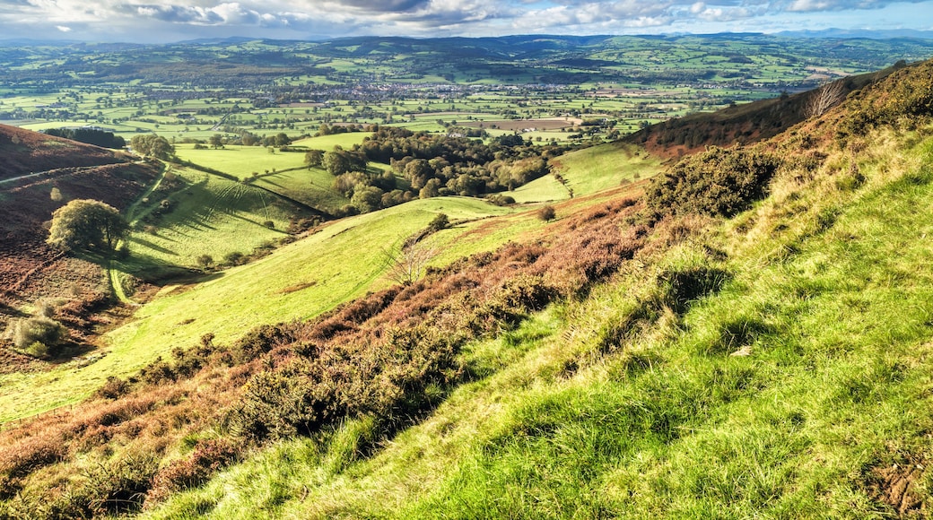 Landscape with Hills and Blue Sky (Moel Famau Country Walk in North wales, UK.)