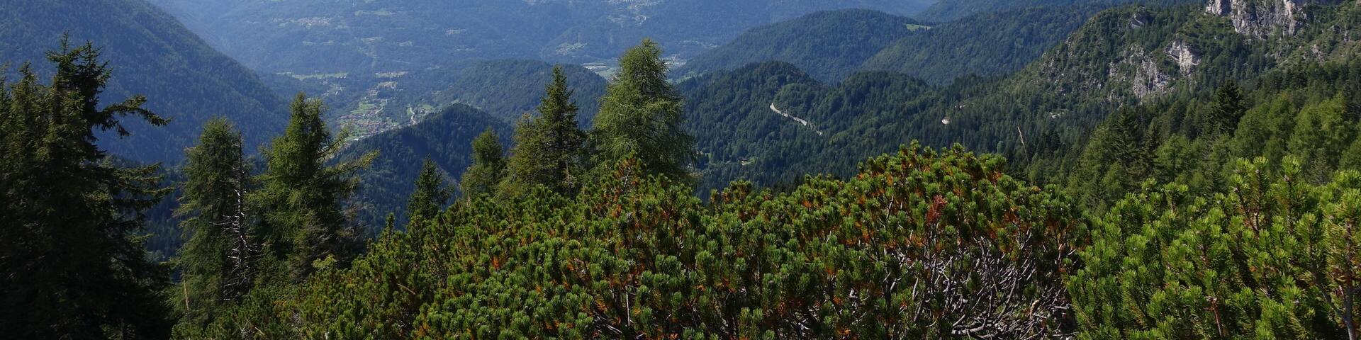 A mountainous landscape with dense forests and a clear blue sky.