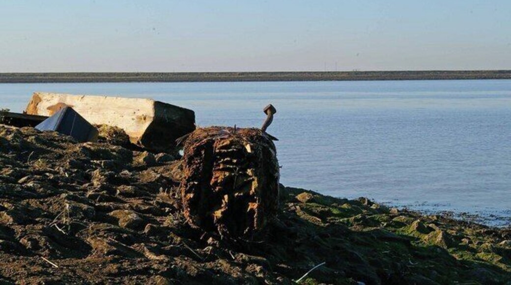 Driftwood & St Mary's Bay This is a view across St Marys Bay on the Kent bank of the river Thames
