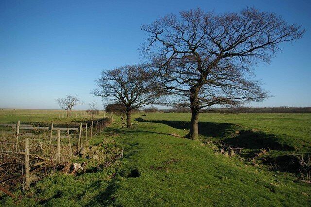Footpath to Allhallows This is the footpath from Swigshole to Allhallows it runs to the right of the ditch