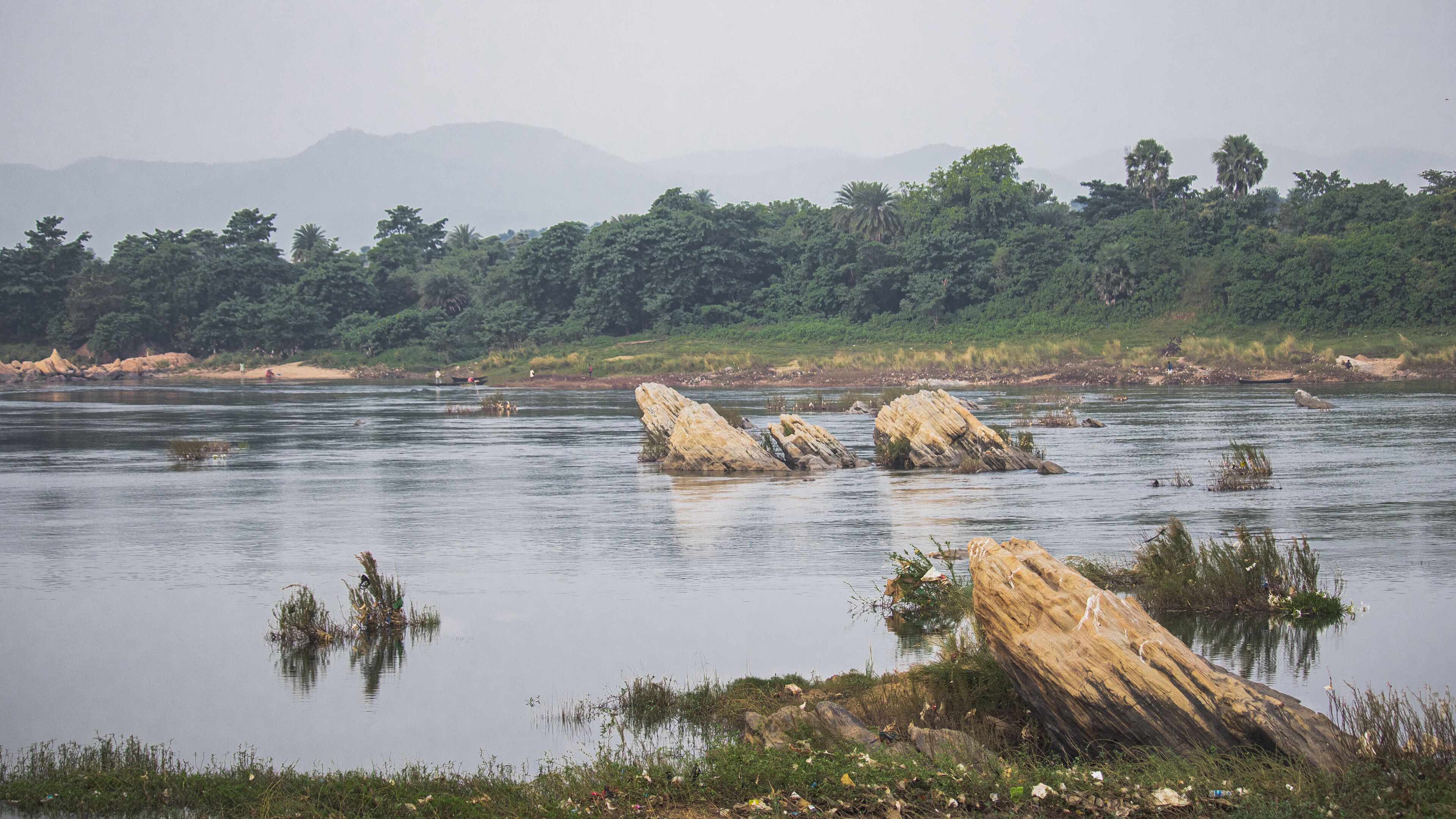 A calm river with large rocks in the foreground and dense forest in the background.