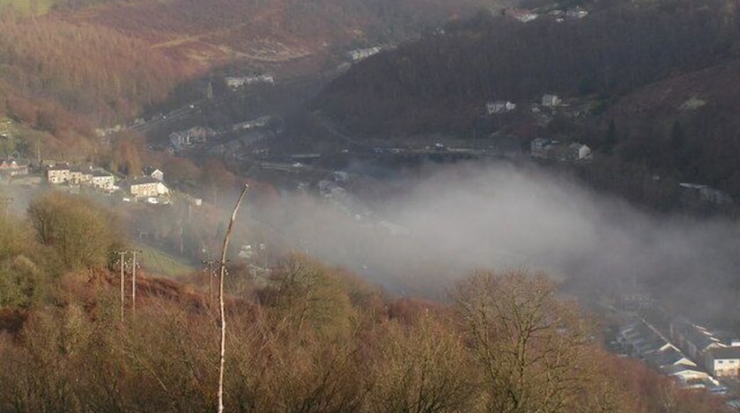 Misty Aberbeeg