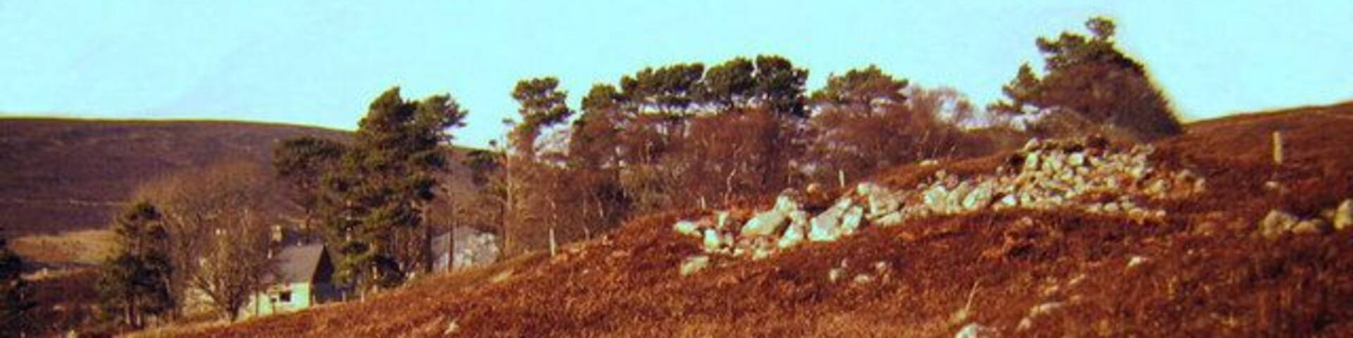 Hut circle on the hill above the A897 The trees in the background mark the location of Birchwood - a dwelling house that shares its name with the ancient woodland located a short distance to the north, along the same road.