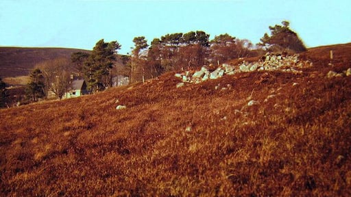 Hut circle on the hill above the A897 The trees in the background mark the location of Birchwood - a dwelling house that shares its name with the ancient woodland located a short distance to the north, along the same road.