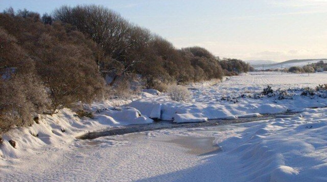 A frozen River Halladale View of the River Halladale immediately above (south) of the bridge which carries the road to Millburn/Trantlemore over it. The A897 road is obscured from view by the trees growing on the embankment seen at left.