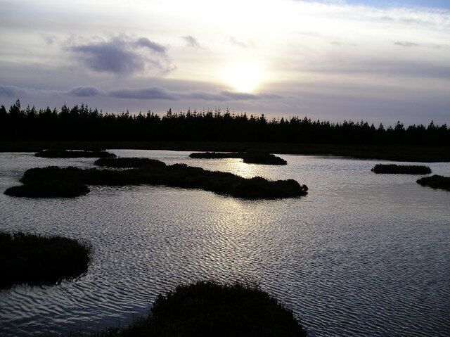 Lochan in the Morning Light Lochan within the Forest in low mid morning sun December 2006
