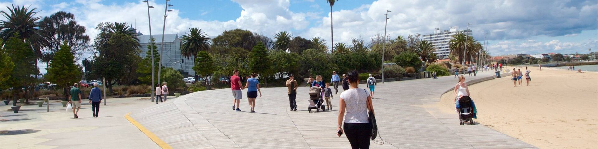 Port Phillip showing a sandy beach, general coastal views and street scenes