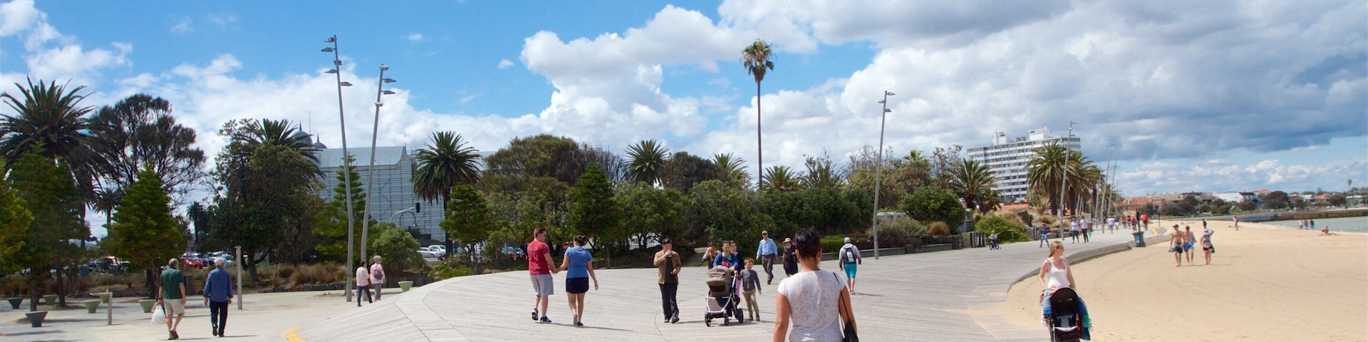 Port Phillip showing a sandy beach, general coastal views and street scenes