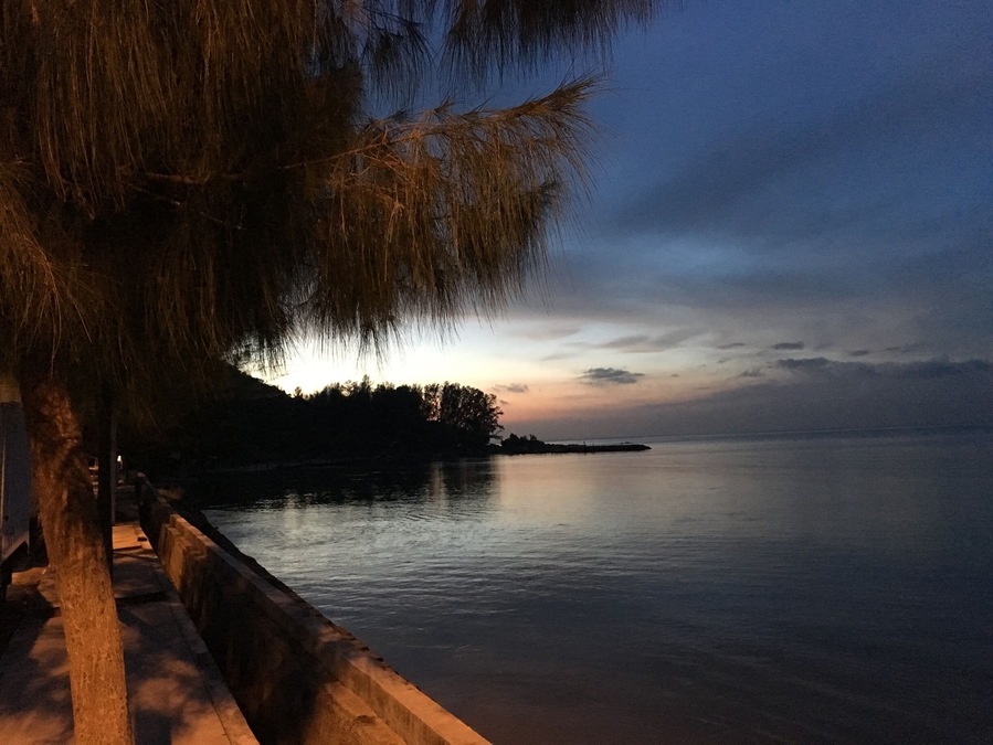 This is a scene in front of my old friend's residence. Breathtaking in the morning. 
Penang is an island with all the best Asian food it can offer. If you're a foodie, this island is a must visit destiny.