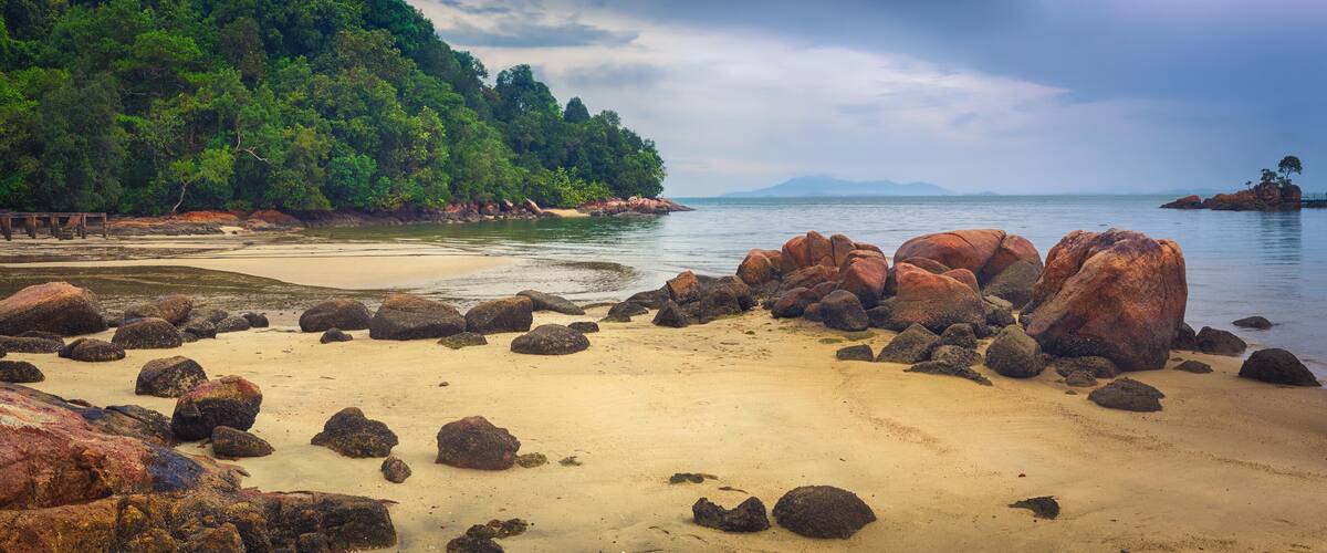 A beach with large rocks and a forested hillside.