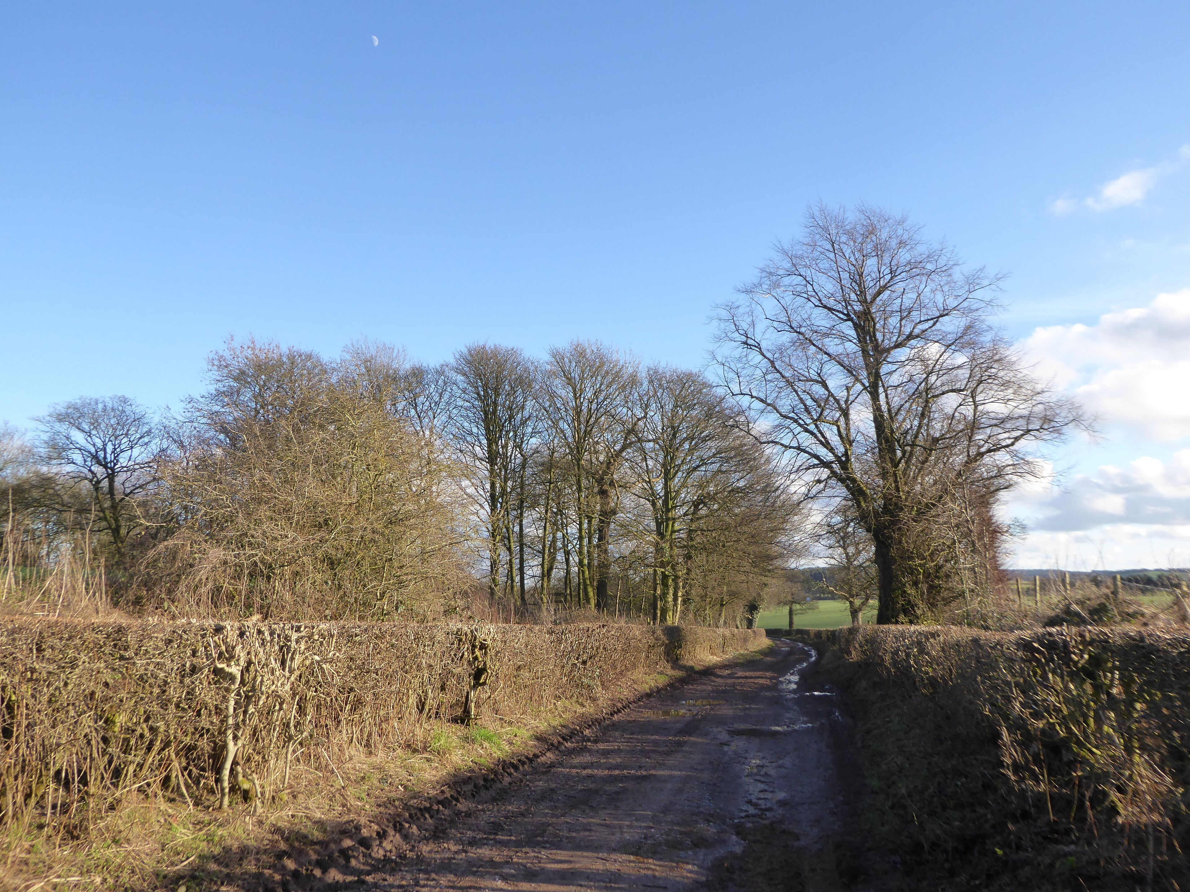 Lymes Road is a BOAT (Byway Open To All Traffic) which runs between Keele village and the A53.
