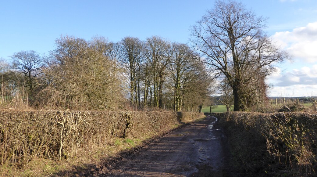 Lymes Road is a BOAT (Byway Open To All Traffic) which runs between Keele village and the A53.