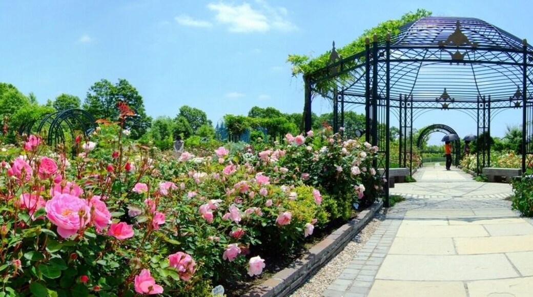 Rose garden in 銀河庭園
