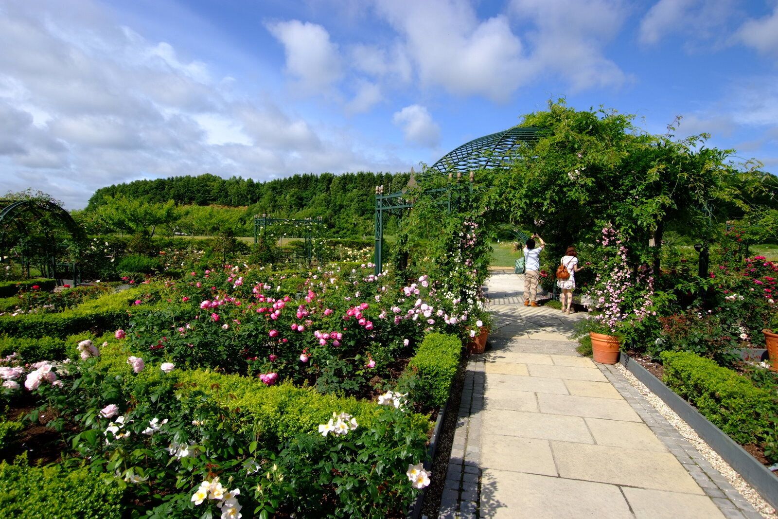A garden with a pathway leading to a green archway surrounded by lush greenery and blooming flowers.