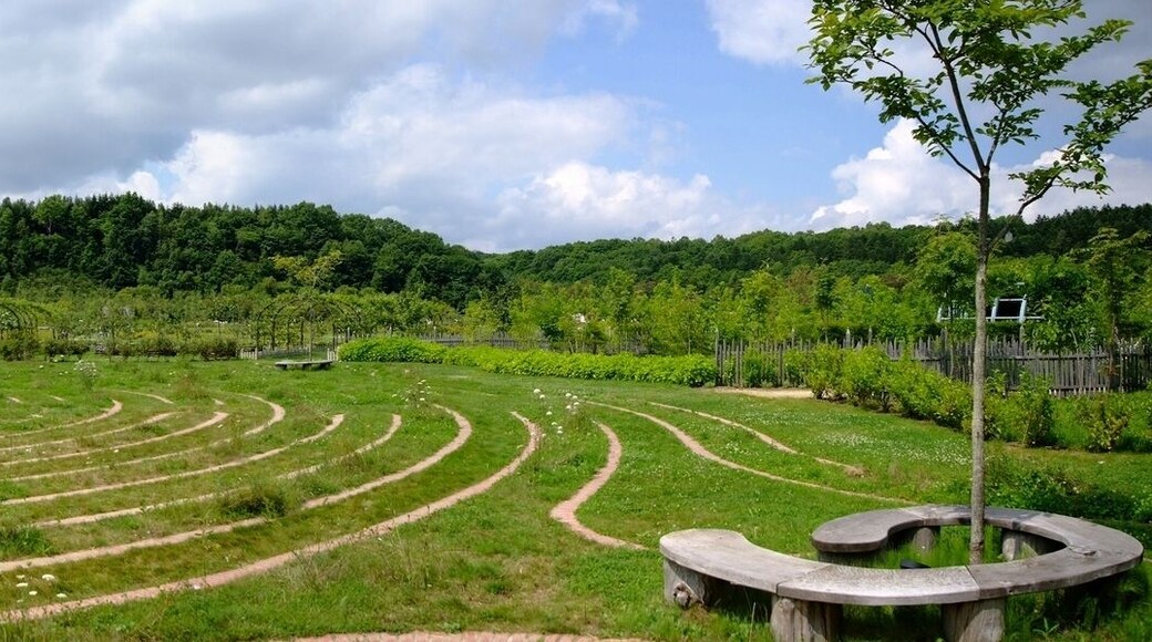 えこりん村 銀河庭園2009 メイズ