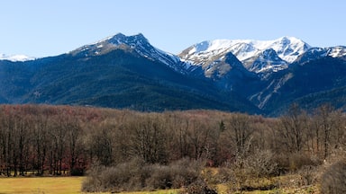 A mountain range with snow-capped peaks and a forested valley.