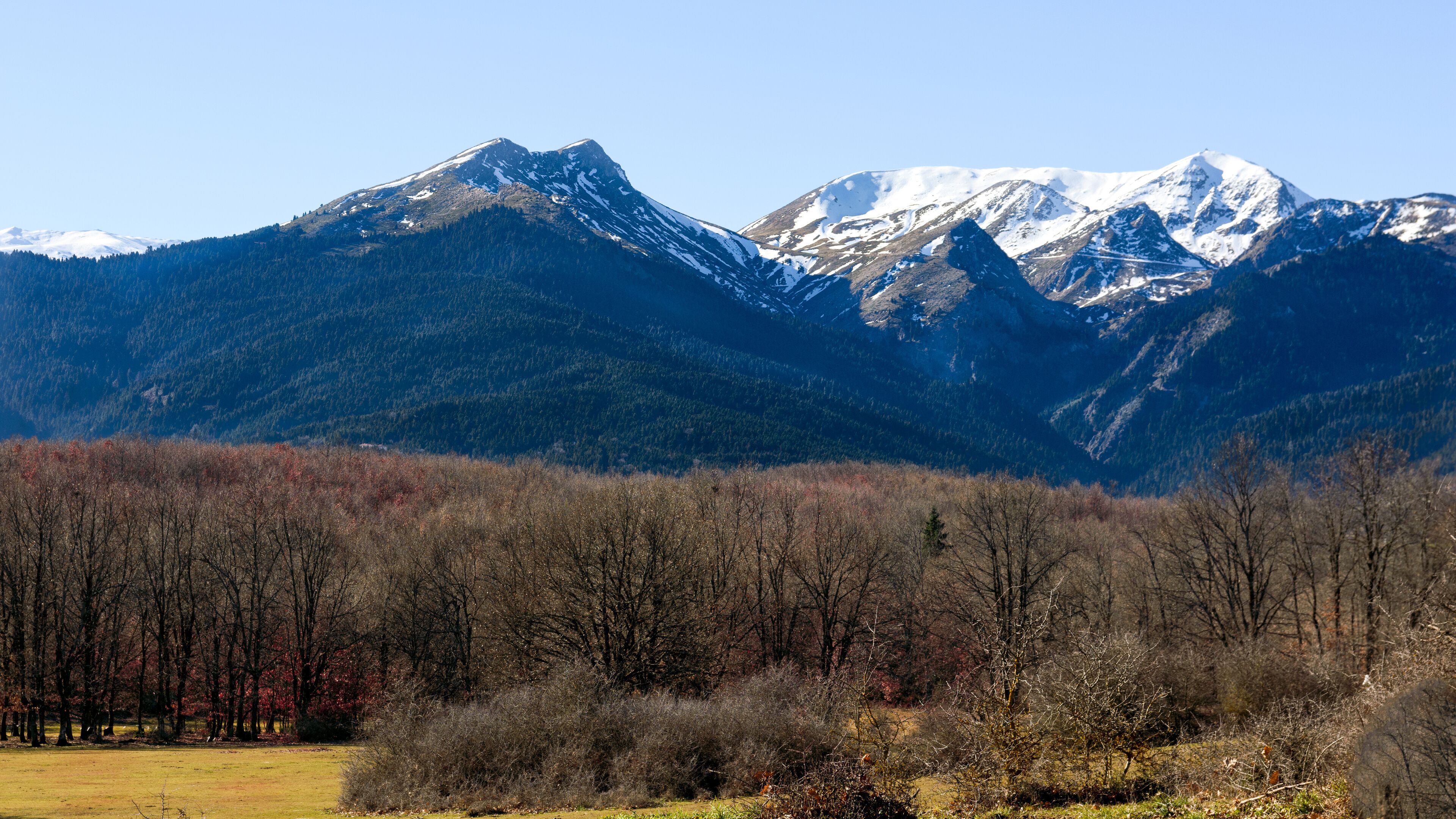 A mountain range with snow-capped peaks and a forested valley.